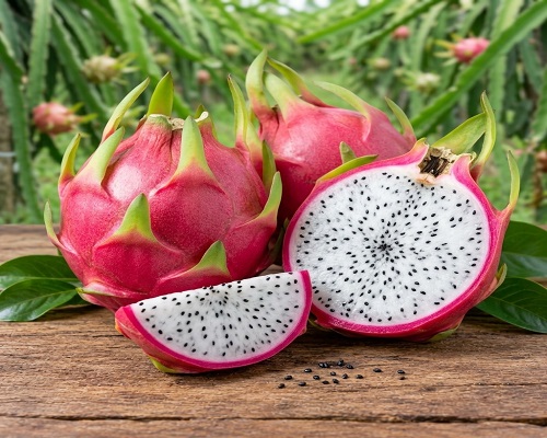 Product: Fresh Dragon Fruit Origin: India Description: Fresh dragon fruit selected for appearance, freshness, firmness and overall quality. Key Features: Attractive appearance, fresh texture, carefully sorted and packed. Packaging: Corrugated cartons / protective packaging / customized packaging. Applications: Fresh consumption, retail, restaurants and food service