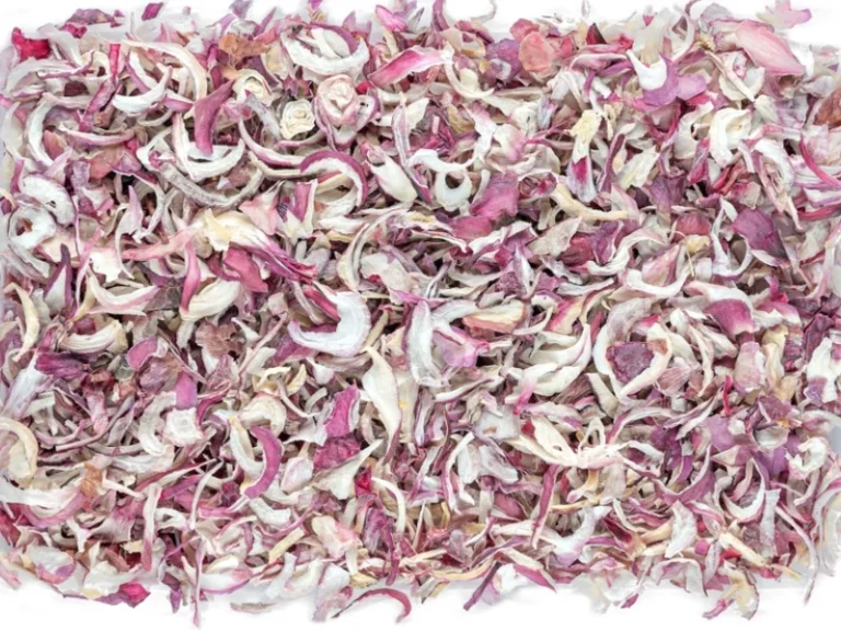 dried onion