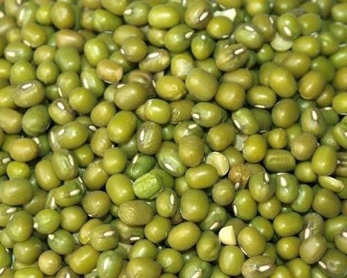 vigna radiata mung bean se