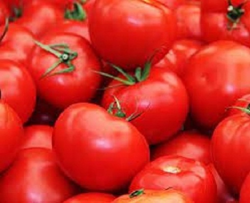 a grade naturally grown farm fresh tomato 875