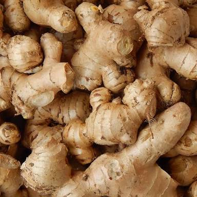 fresh ginger