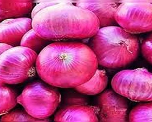 fresh red onion