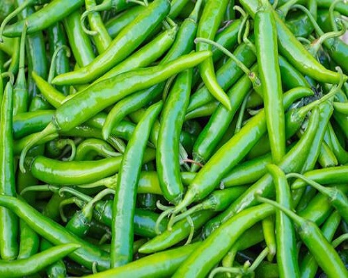pile of fresh green chilies pepper for sale in the fresh market photo