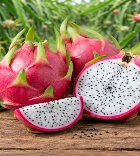 Product: Fresh Dragon Fruit Origin: India Description: Fresh dragon fruit selected for appearance, freshness, firmness and overall quality. Key Features: Attractive appearance, fresh texture, carefully sorted and packed. Packaging: Corrugated cartons / protective packaging / customized packaging. Applications: Fresh consumption, retail, restaurants and food service
