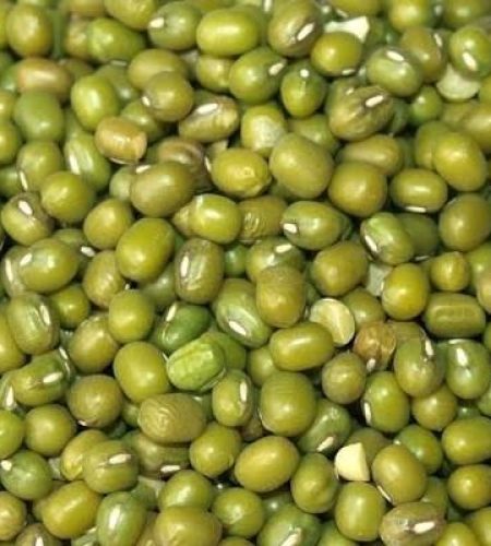 vigna radiata mung bean se
