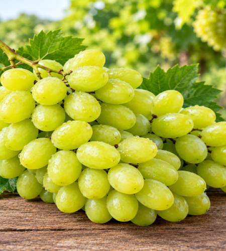 Product: Fresh Grapes Origin: India Description: Fresh Indian table grapes available in varieties and specifications according to buyer requirements. Key Features: Fresh appearance, good texture, attractive colour and suitable export selection. Packaging: Export cartons / punnet packaging / customized packaging. Applications: Fresh consumption, retail, wholesale and food service.