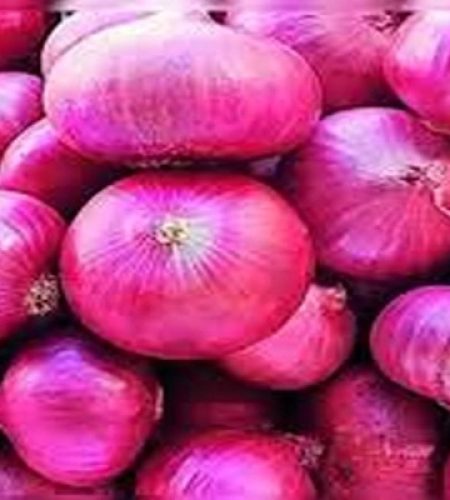 fresh red onion