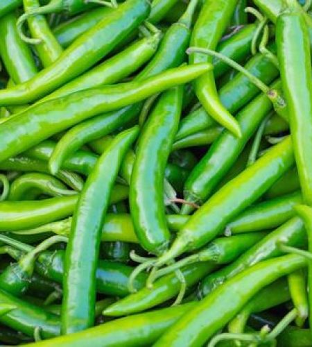 pile of fresh green chilies pepper for sale in the fresh market photo
